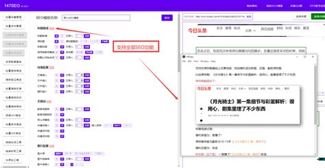 seo域名批量查询工具