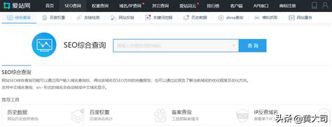 seo查询工具中文正式版官网