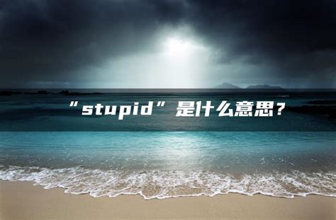 stupid是什么意思