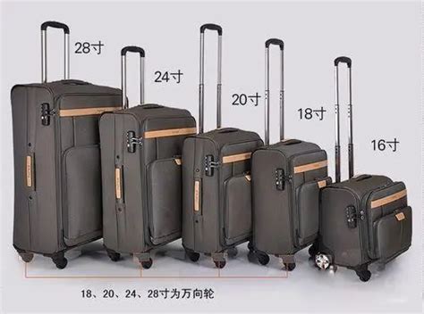 t4飞机行李多久可以取