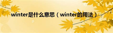 winter是什么意思中文