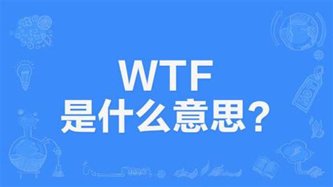 wtf网络用语什么意思
